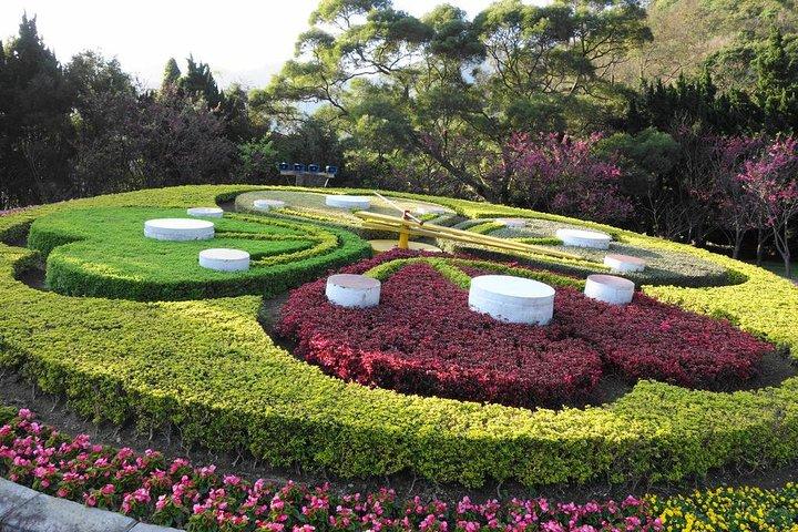 Parque Nacional de Yangmingshan e Hot Spring Tour (tarde)