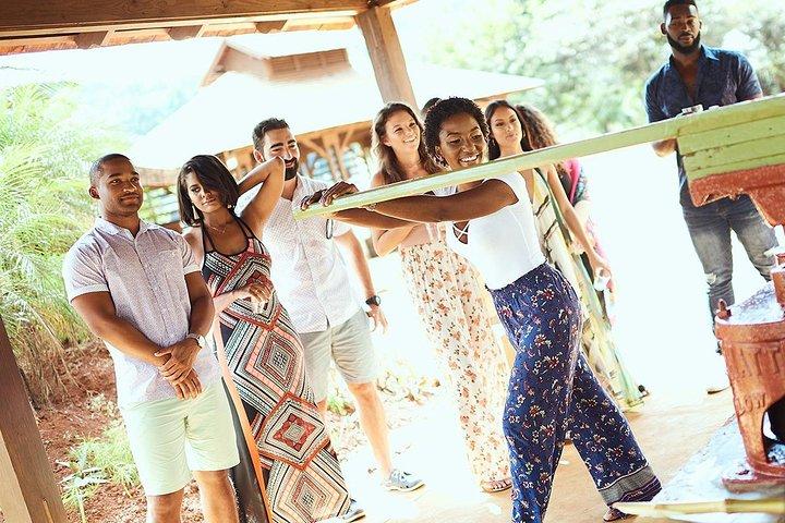 Tour e degustação de rum da Appleton Estate saindo de Negril