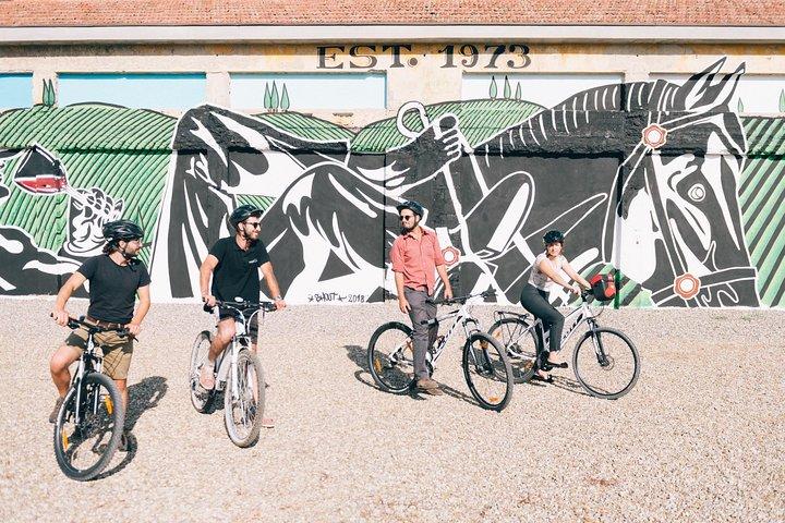 Excursão privada Ebike em Chianti