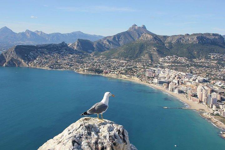 Alicante Private Walking Tour com um local