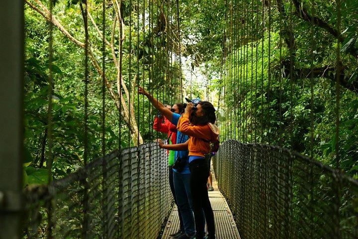 Mistico Hanging Bridges Park da La Fortuna