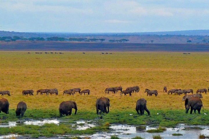 Tarangire National Park Dagtour