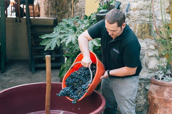 Piétement de raisin privé à Chianti Farmhouse
