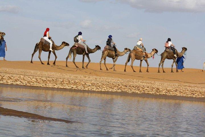 Sand, Stars & Camels: 3-Day Marrakech to Merzouga Desert Safari