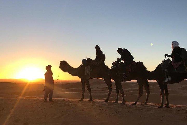 Sand, Stars & Camels: 3-Day Marrakech to Merzouga Desert Safari