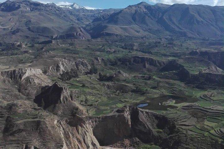 Colca Canyon Sightseeingtur 2D1N og overførsel til Puno