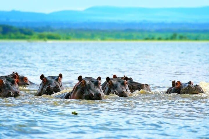 Private Tour to Mount Longonot and Optional Boat Ride on Lake Naivasha