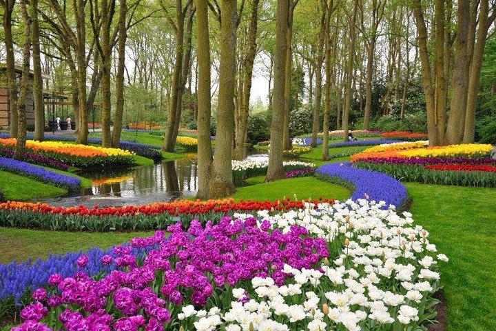 ブリュッセル発デルフトとキューケンホフ公園ツアー