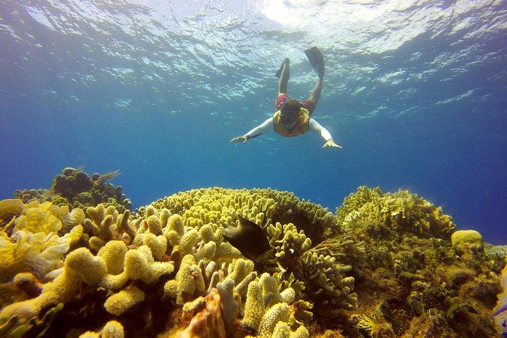 Combo 2 Karibiska öarna: Isla Mujeres, Cozumel med snorkel