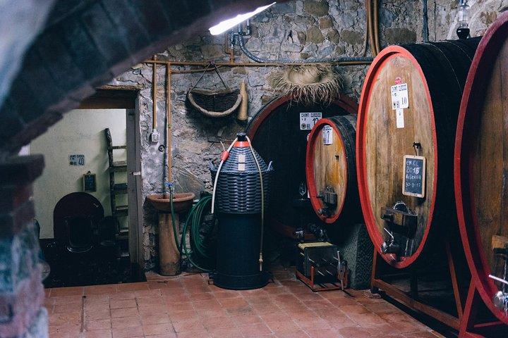 Excursion privée hors route dans le Chianti au départ de Sienne