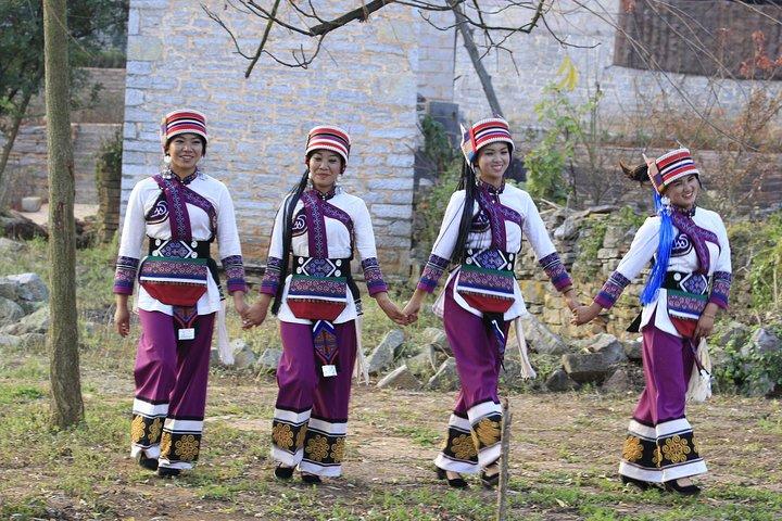 Um dia Stone Forest e Nuohei Yi Village Tour
