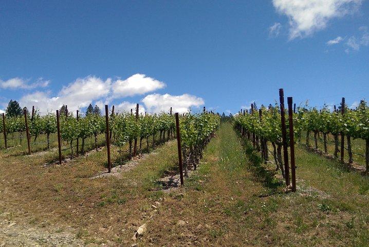 6 heures de Napa ou Sonoma Wine Tour en limousine privée