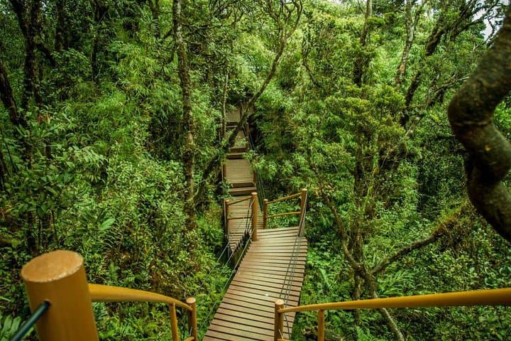 Cameron Highland Day Tour from Kuala Lumpur