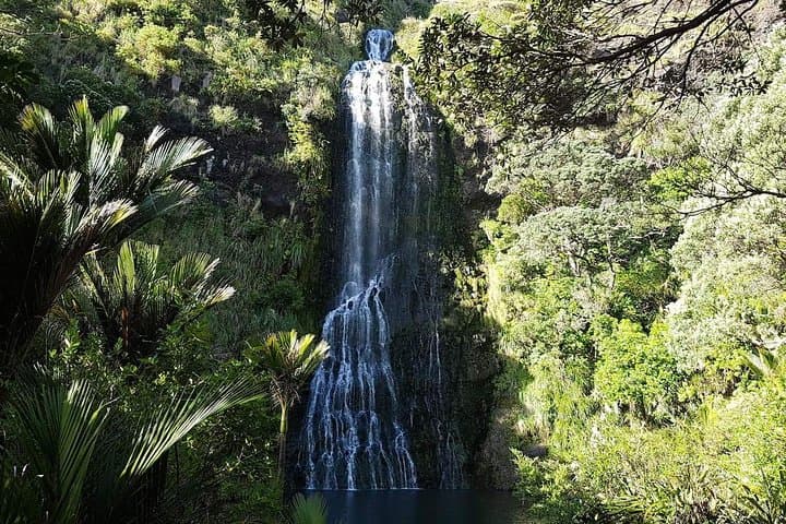 Private Tour: Auckland City and Countryside Tour