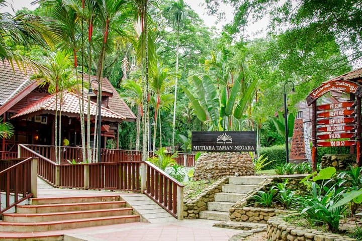 Taman Negara Day Tour with Canopy Walk
