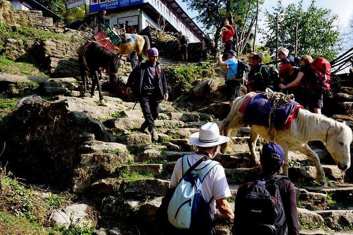 Trekking del campo base di Annapurna