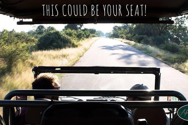 Full Day Safari in the Kruger National Park from Hazyview