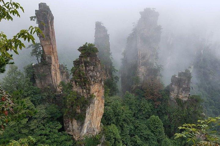 Private Tagestour durch den Nationalpark Zhangjiajie mit Mittagessen