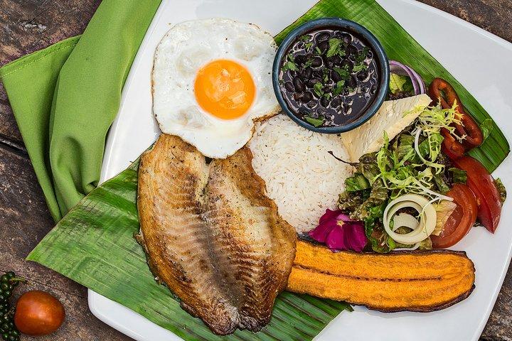 Costa Rica Campesino Farm Tour