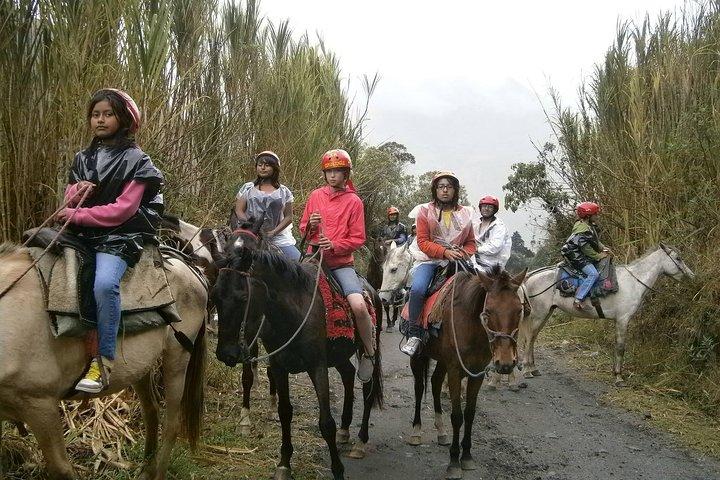 Tour En Caballo | a cavallo | Di 2 ore | Baños - Ecuador