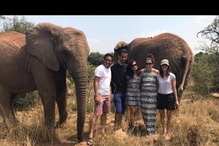 Bush Babies & Monkey Sanctuary and Elephants walk Private