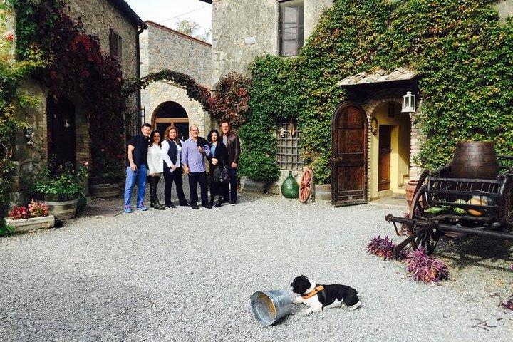 Livourne Excursion privée du Chianti et San Gimignano