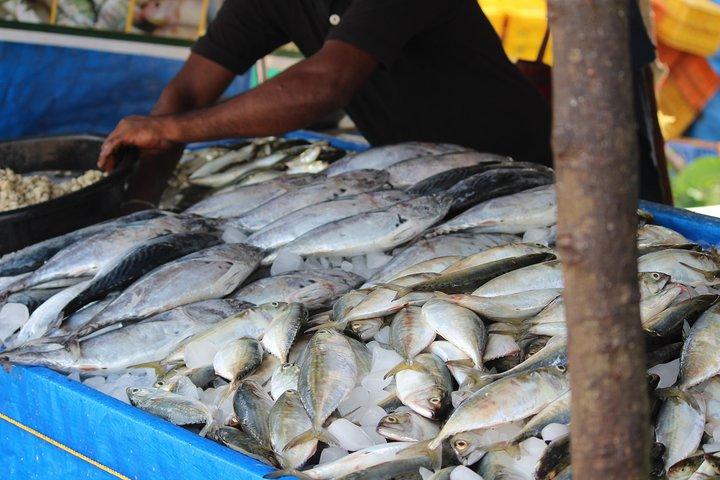 Kochi Fishing Village udflugt.