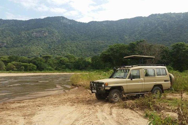 Safari económico de 4 días en Tanzania
