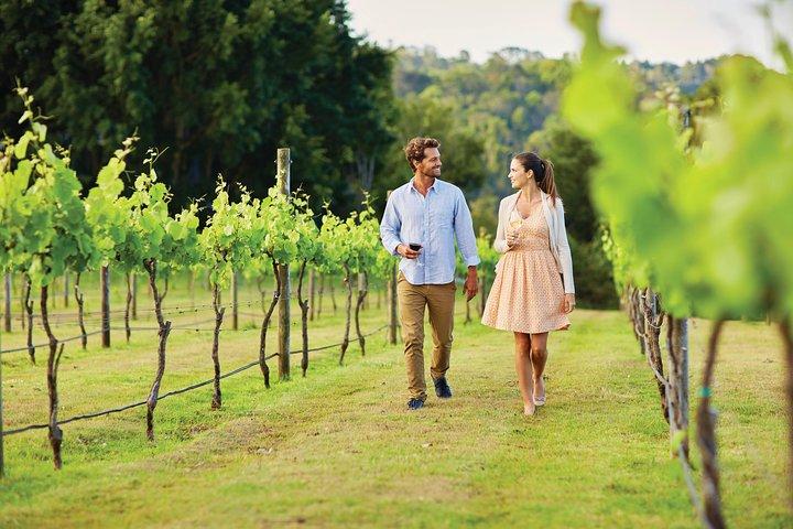 Sunshine Coast y Noosa Private Tour Inc. Almuerzo gourmet de 2 platos