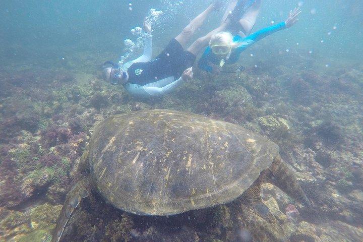 Tour di 5 giorni alle Galapagos oltre le isole