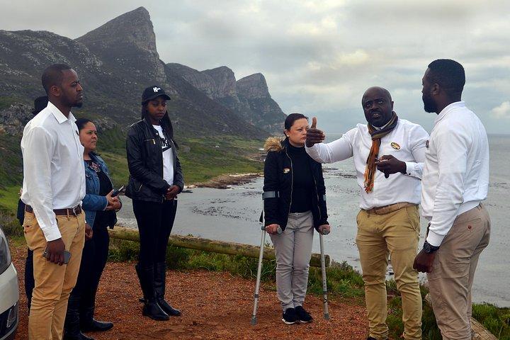 Visite privée de Cape Peninsula avec entrée au Cap de Bonne-Espérance et aux Penguins