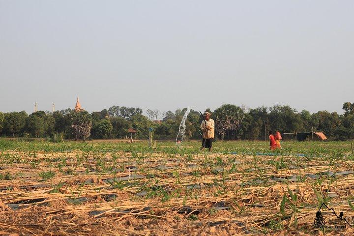 Silkeøen og landskabet i Phnom Penh af Tuk Tuk