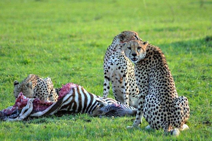 ナイロビからアンボセリ国立公園への3日間2泊のサファリ