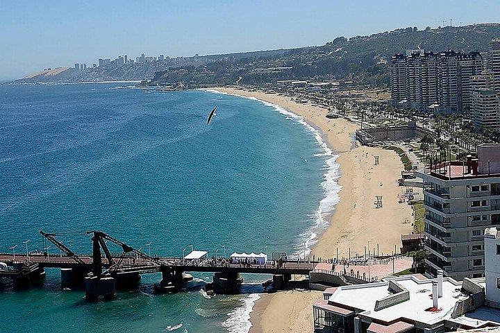 Valparaiso Concon Viña Del Mar Museum Lunch FRÅN STGO PrivateTour