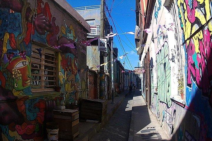 Valparaiso Concon Viña Del Mar Museum Lunch FRÅN STGO PrivateTour
