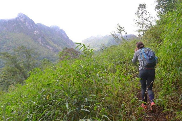 2-dages Chiang Dao og Mae Taeng Valley aktiv tur