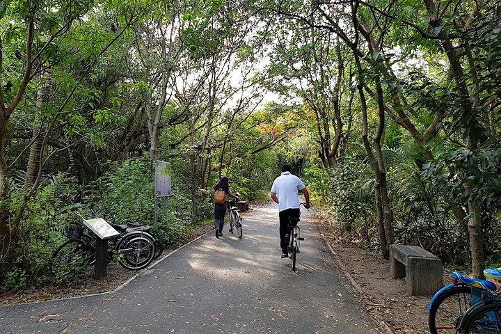 Bangkok's Green Lung Jungle Cycling Adventure Tour