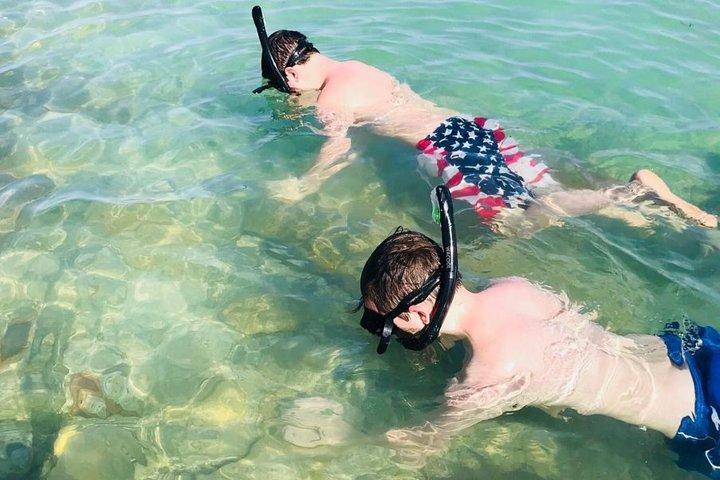 Crociera dei delfini di 2 ore per piccoli gruppi con snorkeling a Shell Key