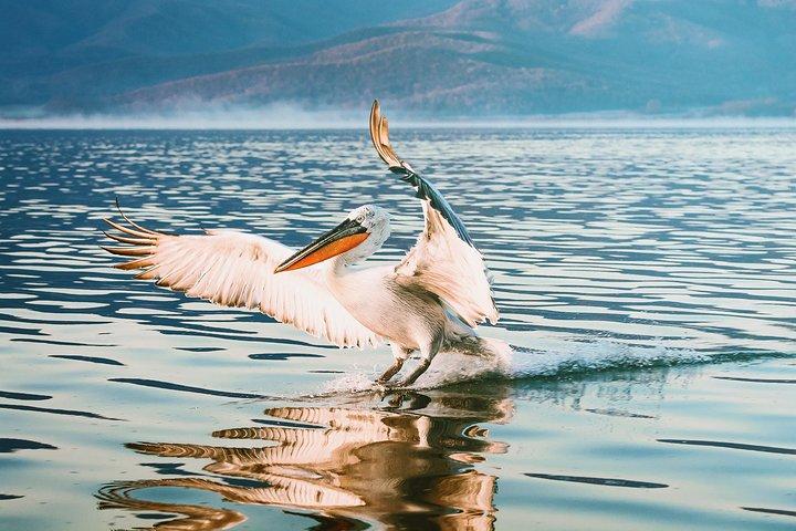 De Thessalonique : excursion privée d'une journée au lac Kerkini