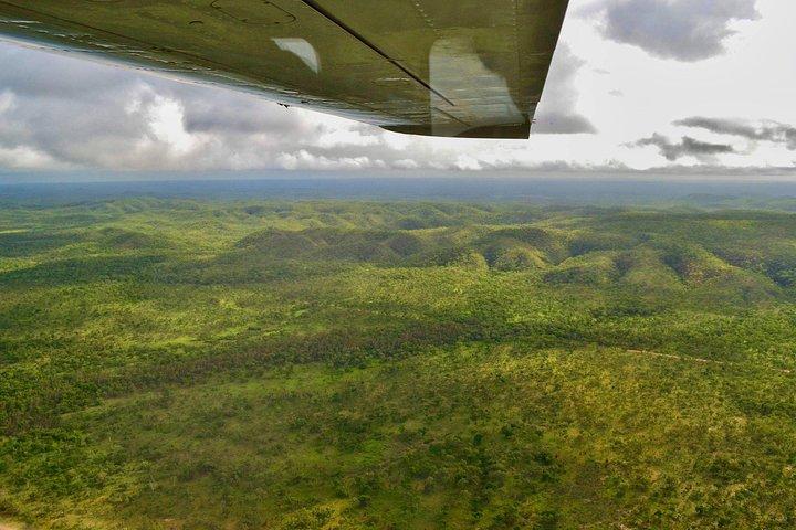 ダーウィン発キャサリン渓谷フライト、クルーズとヘリコプターの眺め付き