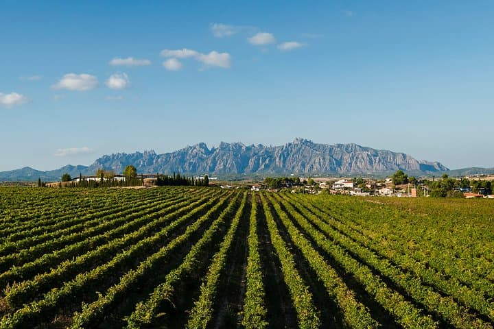 Private Montserrat and Cava Winery Tour with Hotel Pick Up from Barcelona