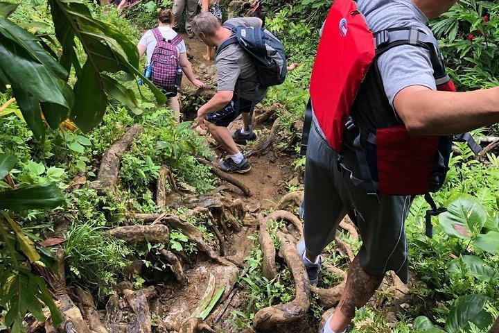 El Yunque Rainforest com Waterslides e Transporte de San Juan