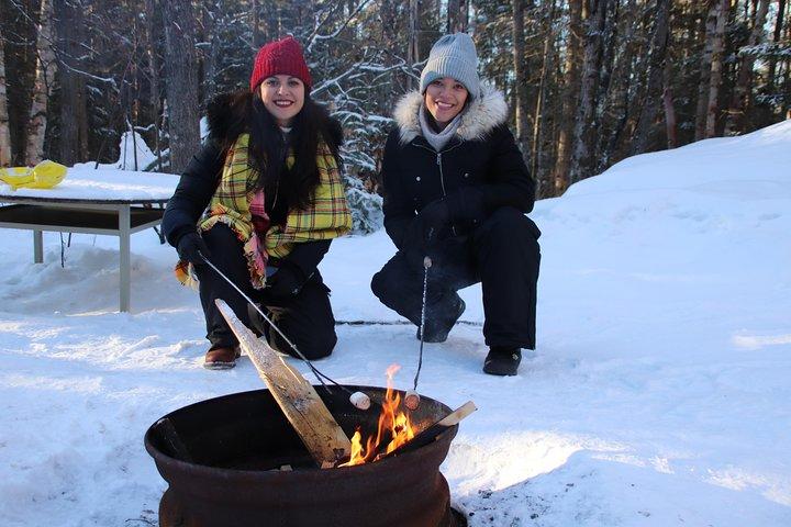 Dog Sledding Adventure from Toronto Private Tour