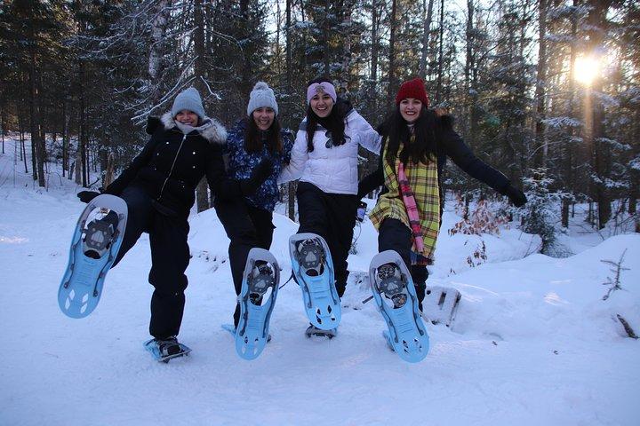 Dog Sledding Adventure from Toronto Private Tour