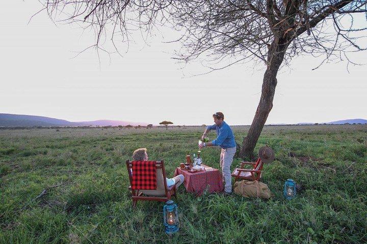 8 dages Tanzania Wildlife Safari Experience