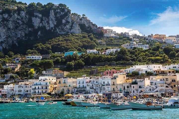 Fra Salerno: Small Group Li Galli Islands og Capri Boat Tour