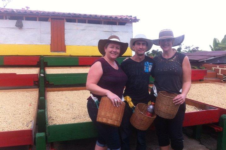 Coffee Plantation in Jardin tour with private transportation