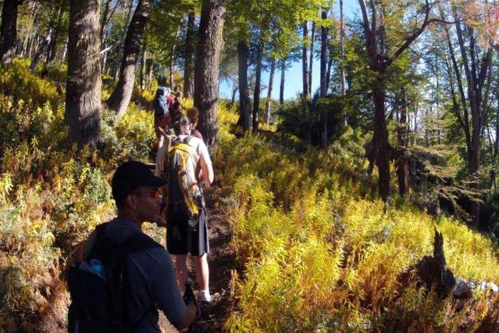 Bella Vista Trekking Esperienza di un'intera giornata