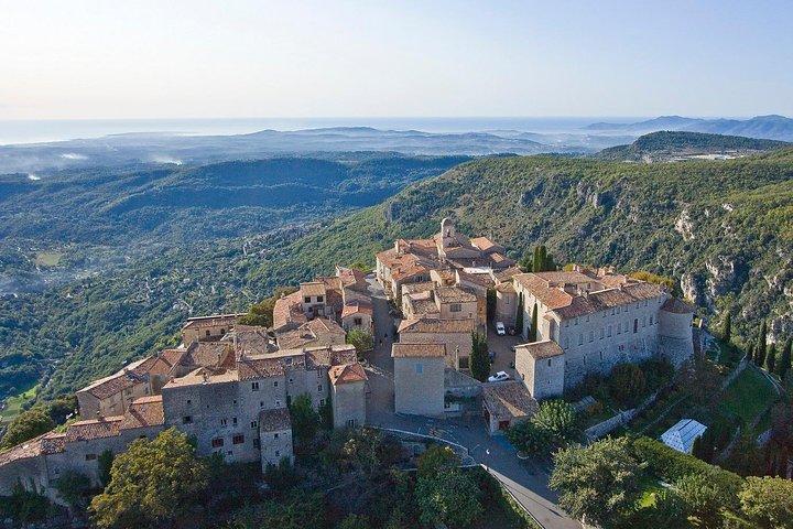 Private Day Trip: Provence-platteland per minibus uit Nice