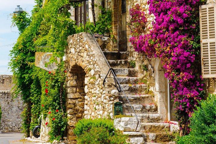 Private Day Trip: Provence-platteland per minibus uit Nice